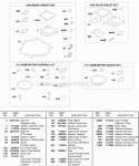 EngineValve Gasket Sets Carburetor Overhaul Kits Diagram and Parts List for 245432-0083-01  Briggs and Stratton Engine